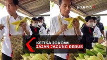 Ketika Presiden Jokowi Jajan Jagung Rebus di Pinggir Jalan