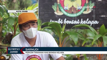 Hobi Bonsai Kelapa Yang Menguntungkan