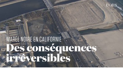 Une marée noire touche le sud de la Californie