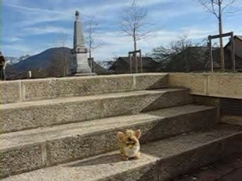 Skate over the furby (version longue)