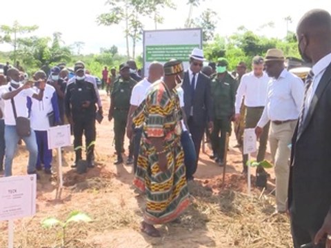 Foncier rural : des arbres pour délimiter les territoires villageois