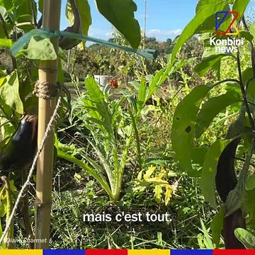 “J’ai vendu mon château pour habiter dans les arbres ” | SPEECH d’Éric Charmet