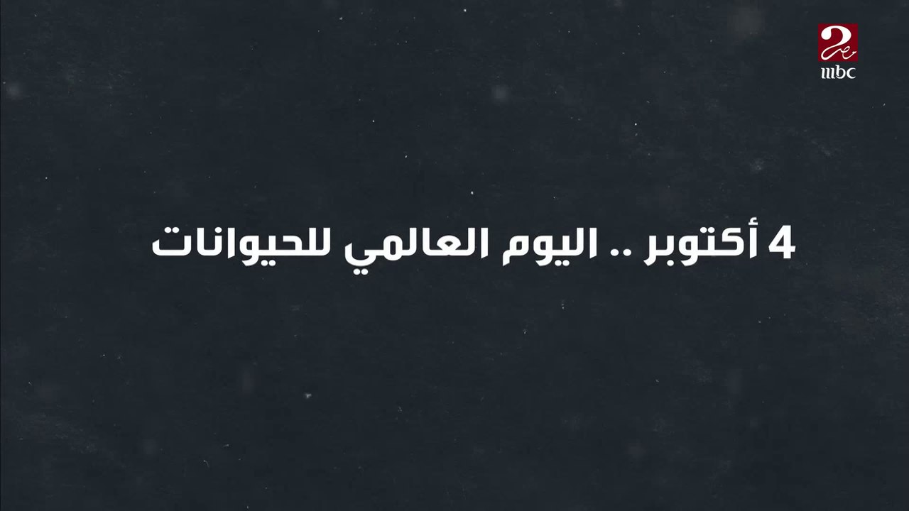 4 أكتوبر .. اليوم العالمي للحيوانات