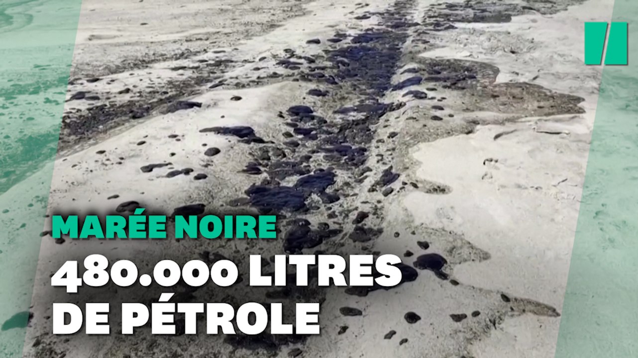 Californie: La marée noire entraîne des "conséquences irréversibles sur l’environnement"