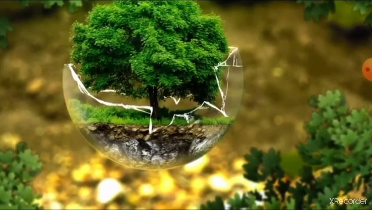 نقي قلبك موعدك مع زائر ليس له ميعاد ولا يستأذن عند الدخول