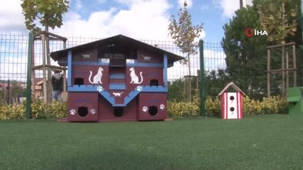 Hayvanları Koruma Günü'nde Pendik'te PatiFest düzenlendi