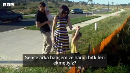 İklim krizi:  50 derece sıcaklıkta nasıl yaşanır?