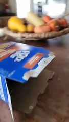 Bird Wants Both Boxes