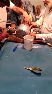 C'est vraiment comme ça que naissent les bébés ???