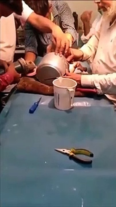 C'est vraiment comme ça que naissent les bébés ???