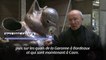 Belgique: dans la fonderie qui fabrique les statues du Chat de Philippe Geluck