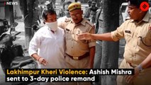 Lakhimpur Kheri Violence: Ashish Mishra sent to three-day police custody