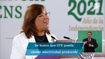 No se nacionalizará nada, ni un tornillo ni una tuerca, dice Rocío Nahle sobre reforma eléctrica