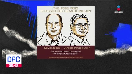 Entregan el Premio Nobel de Medicina 2021