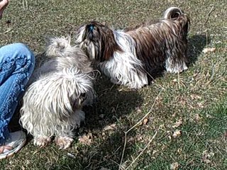 rencontre siou blanc video 5