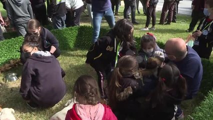 Çocuklar "Pati Şenliği'nde" sokak hayvanlarıyla buluştu