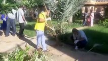 Video: प्रभारी सचिव ने की बगीचे में मशीन चलाकर दूब की कटाई, लगाए चम्पा के पौधे