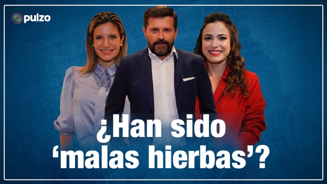 Tengo varias referencias : Mabel Moreno, sobre su personaje de bien en 'Malas hierbas'