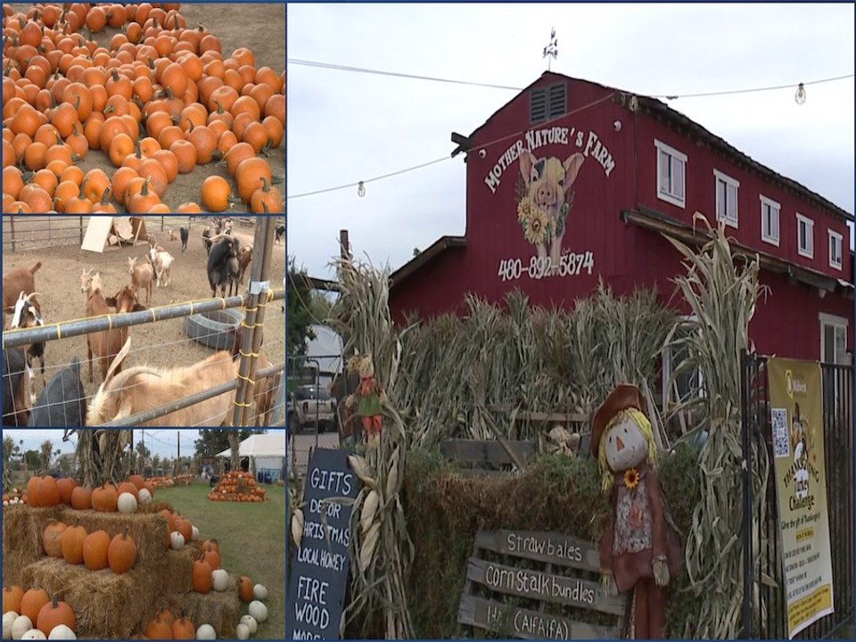 BLOODY MARY BAR! Build Your Own Bloody Mary with ravioli, meatballs and chicken wings at Hash Kitchen - ABC15 Digital