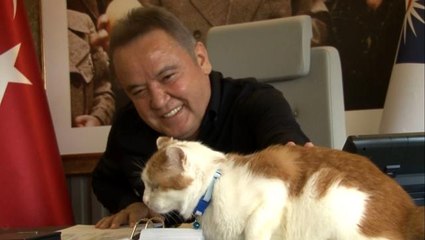 58'inci Antalya Altın Portakal Film Festivalinin akrediteli maskotu 'Toros'