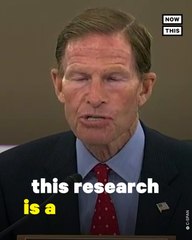 Senators Grill Facebook Exec Over 'Bombshell' Mental Health Report