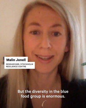 How Seafood Plays a Role in Sustainable Food Systems