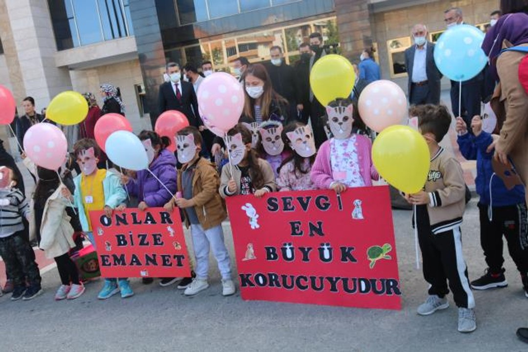 Pursaklar'da "Hayvanları Koruma Günü" düzenlenen etkinlikle kutlandı