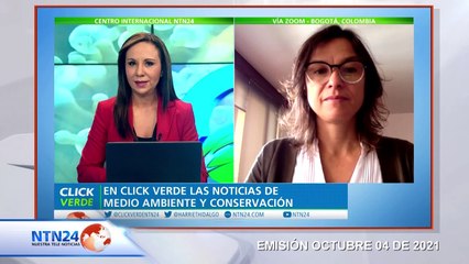 Greenpeace advierte niveles de contaminación más altos en Bogotá