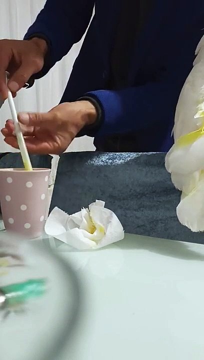 bulut ve yağmur beslenme saati