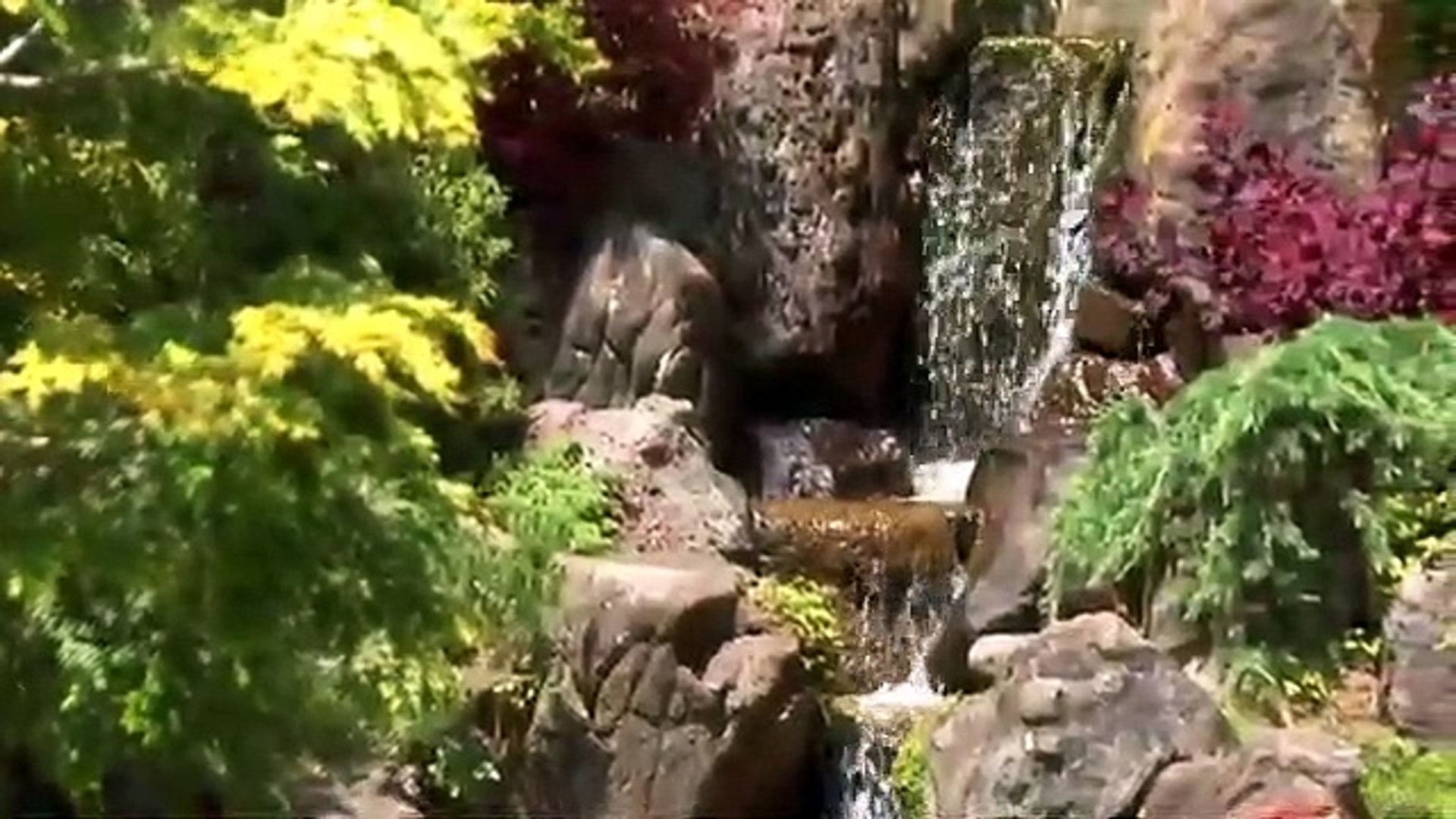 Relaxing Meditation Music Sleep Music Soothing Music