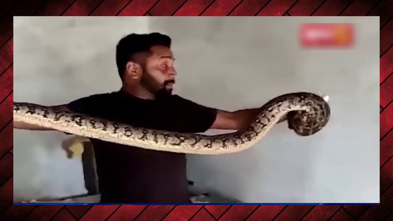 air hostess dance indigo । air hostess dance in flight india । indigo air hostess dance । chor chori kaise karte he । chori kaise kare hindi me । irani gang chori । अजगर सांप । ajgar saap rescue । python snake rescue । indian rock python snake rescue । gw