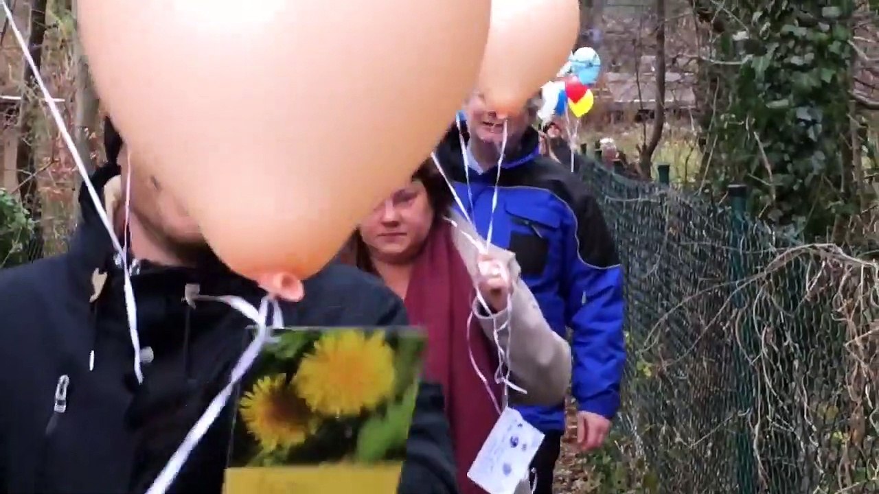 Die soulfit factory friedensbotschaften 2018