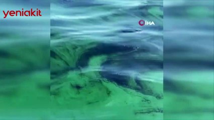 Yetkililer 'felaket' deyip uyarılarda bulundu!