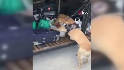 Son dakika... Yolcu otobüsünde uyuşturucu sevkiyatını polis engelledi