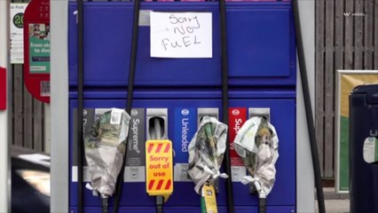 UK Military Assists With Fuel Deliveries to 'Stabilize' Gas Crisis