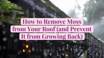 How to Remove Moss from Your Roof (and Prevent It from Growing Back)