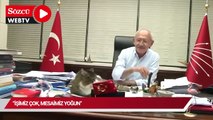 CHP, Kılıçdaroğlu ve kedi Şero'nun görüntülerini paylaştı: 