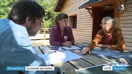 Alsace : les habitants de Thannenkirch recherchent un éleveur pour faire disparaître les friches