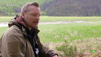 El desafío del hambre_ Osos Grizzly de Alaska_ DOCUMENTAL.