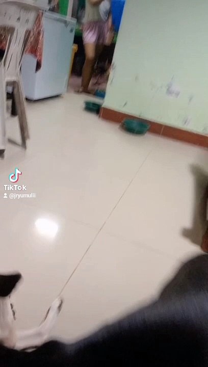dog lover