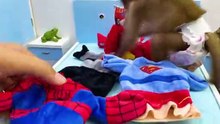 Baby monkey has fun playing 06_1080p