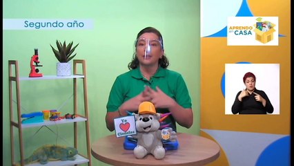 #AprendoEnCasa Ciencias: Efectos de la aplicación de las fuerzas sobre objetos (Segundo Año - Primaria)