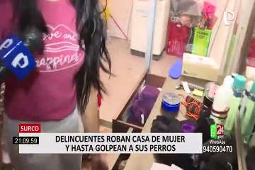 Surco: delincuentes roban casa y hasta golpean a las mascotas