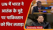 UN में भारत ने Pakistan को फिर लगाई लताड़, कहा- Laden को बताते हैं शहीद | वनइंडिया हिंदी
