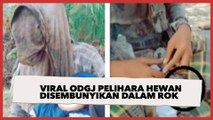 Viral Pria Mau Tolong ODGJ, Syok Ternyata Pelihara Hewan Tak Terduga di Dalam Rok