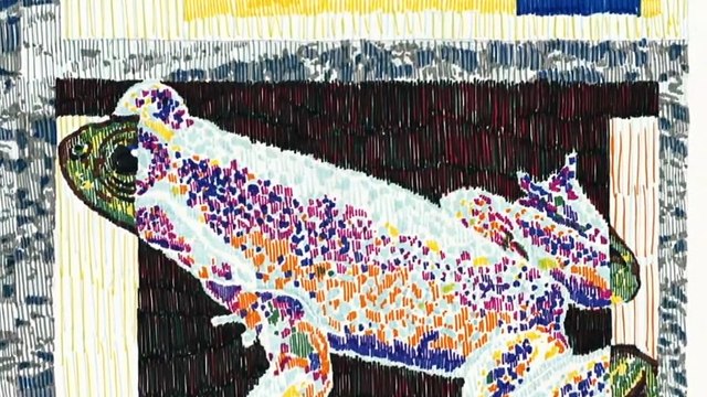 New book merging art and science to raise awareness about Australia's endangered wildlife