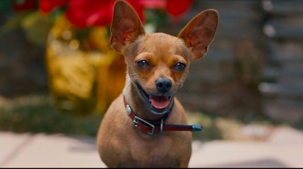 Pups Alone - Trailer (English) HD