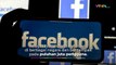IG, Facebook dan Whatsapp Down, Mark Zuckerberg Minta Maaf