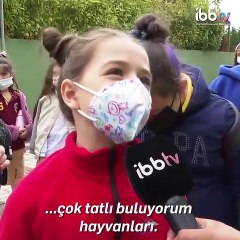 Minikler İBB'nin hayvan barınağını ziyaret etti: "Ejderha var diye çok heyecanlandım ama yokmuş"