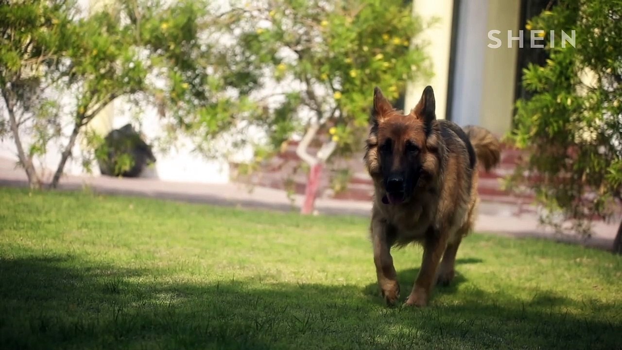 SHEIN تعرفي على اختيارات اول عارضة ازياء ممتلئة في العالم العربي من شي ان